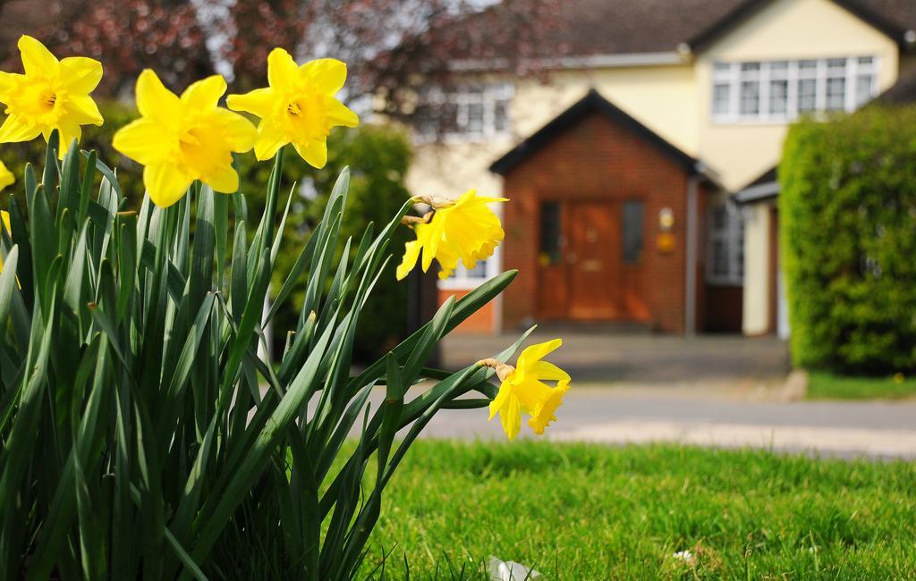Dunmow Guest House Great Dunmow Luaran gambar